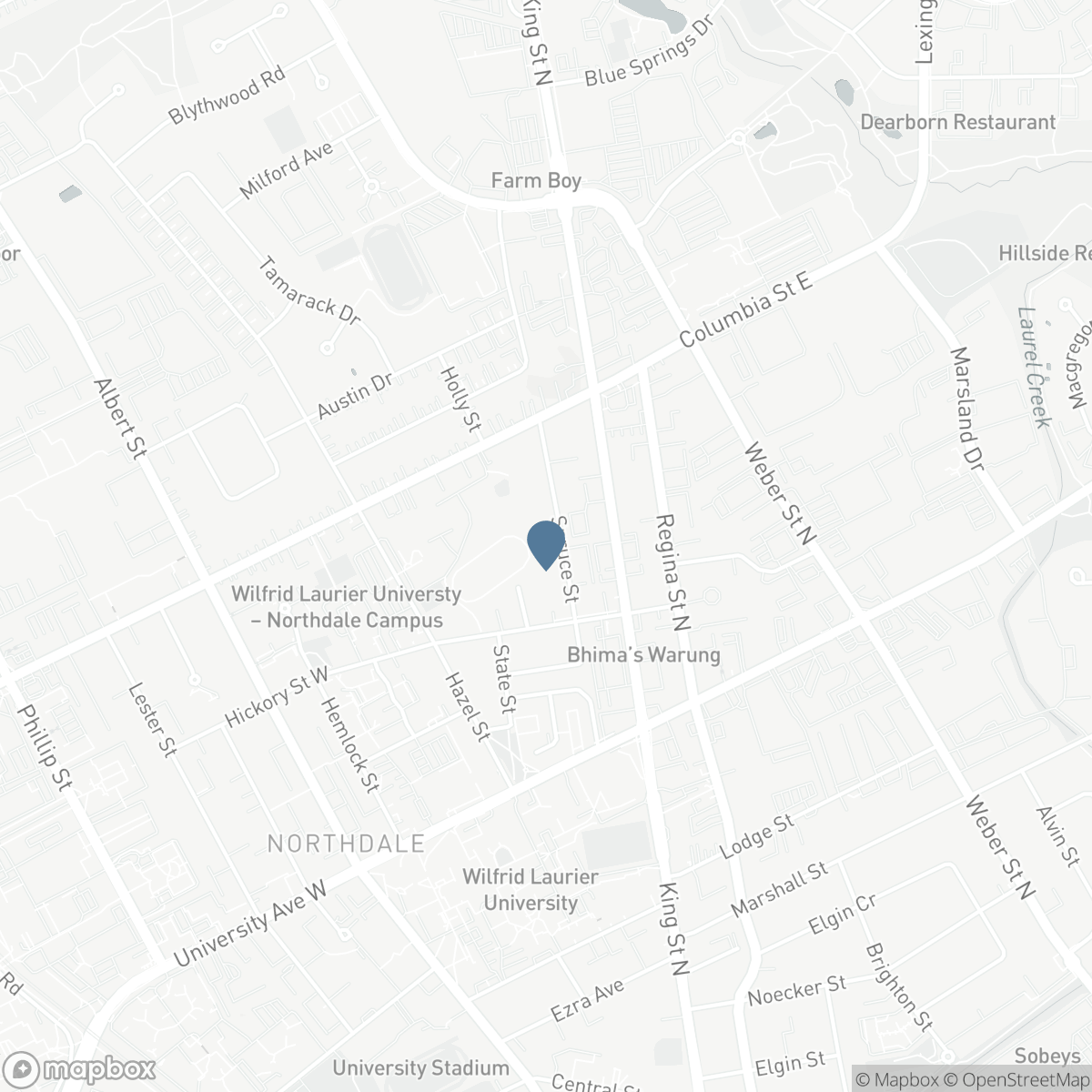 312 - 321 SPRUCE STREET, Waterloo, Ontario N2L 0G4
